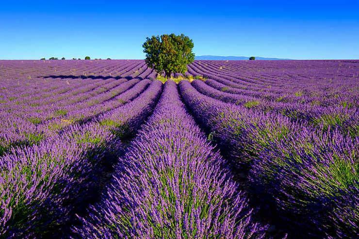 Les - Avec Privatif * Valensole